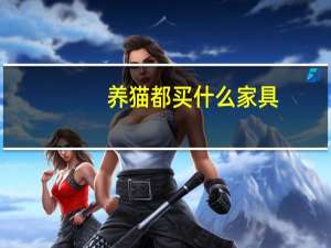 养猫都买什么家具