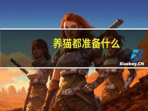 养猫都准备什么