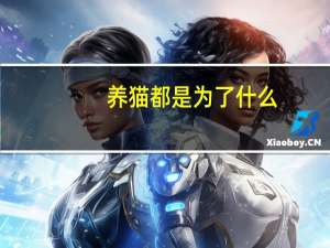 养猫都是为了什么
