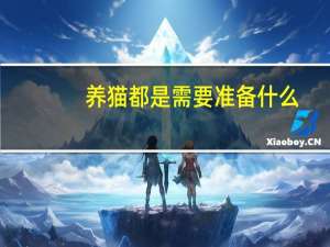 养猫都是需要准备什么