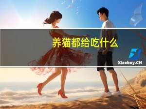 养猫都给吃什么