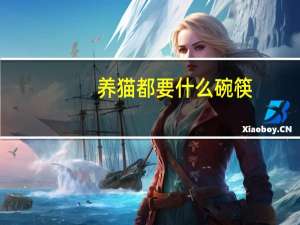 养猫都要什么碗筷