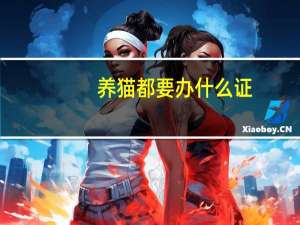 养猫都要办什么证