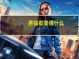 养猫都要喂什么
