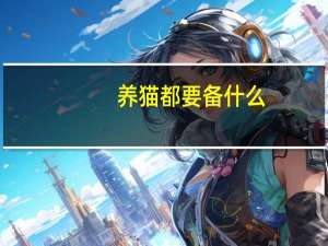 养猫都要备什么