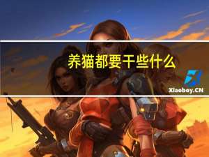 养猫都要干些什么