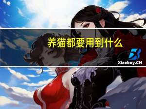 养猫都要用到什么