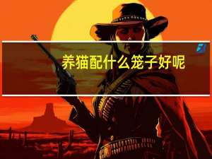 养猫配什么笼子好呢