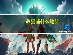 养猫铺什么地砖