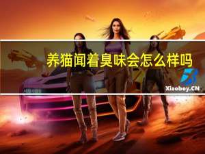 养猫闻着臭味会怎么样吗