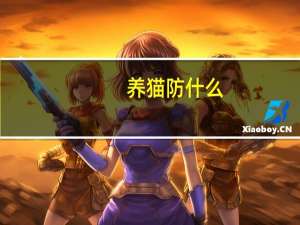 养猫防什么