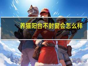 养猫阳台不封窗会怎么样