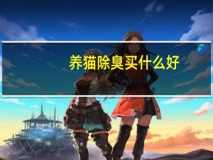 养猫除臭买什么好