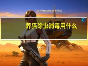 养猫除虫消毒用什么