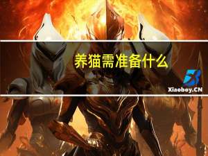 养猫需准备什么