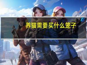 养猫需要买什么笼子