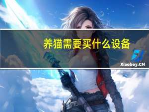 养猫需要买什么设备