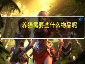 养猫需要些什么物品呢