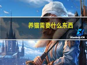 养猫需要什么东西