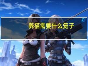 养猫需要什么笼子