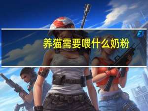 养猫需要喂什么奶粉