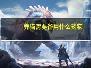 养猫需要备用什么药物