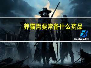 养猫需要常备什么药品