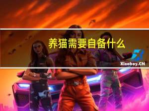 养猫需要自备什么