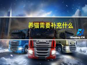 养猫需要补充什么