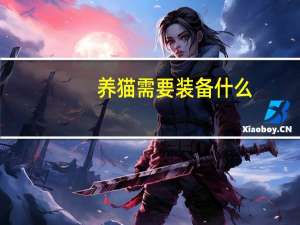 养猫需要装备什么