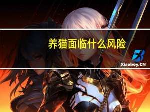 养猫面临什么风险