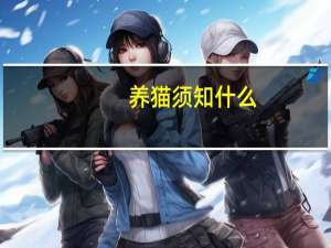 养猫须知什么