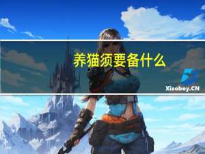 养猫须要备什么