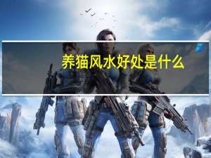 养猫风水好处是什么