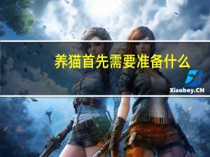 养猫首先需要准备什么