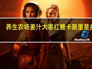 养生农场 姜汁大枣红糖卡路里是多少