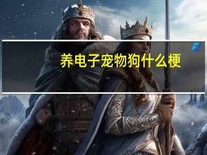养电子宠物狗什么梗