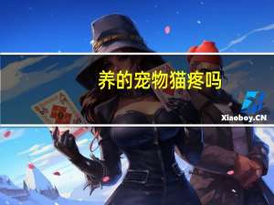 养的宠物猫疼吗