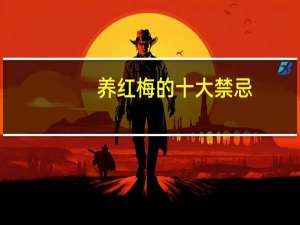养红梅的十大禁忌
