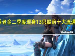 养老金二季度现身13只股前十大流通股东榜