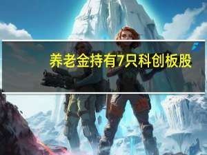 养老金持有7只科创板股：新进2股增持3股