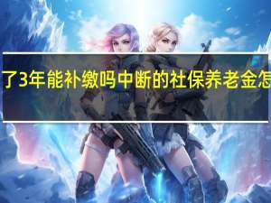 养老金断缴了3年能补缴吗中断的社保养老金怎么补缴<meta　