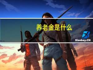 养老金是什么