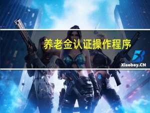 养老金认证操作程序