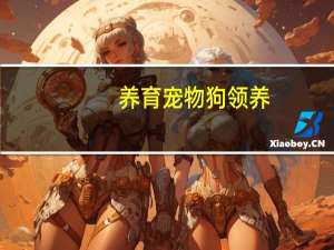 养育宠物狗领养