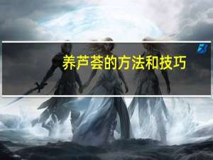 养芦荟的方法和技巧