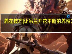 养花技巧|让吊兰开花不断的养殖方法