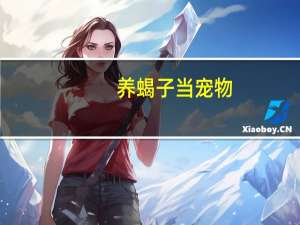 养蝎子当宠物