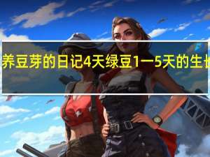 养豆芽的日记4天 绿豆1一5天的生长日记