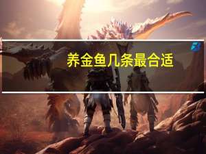 养金鱼几条最合适